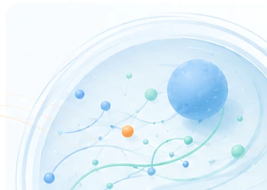 Conceptual illustration of mesoscale cellular organisation