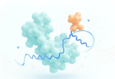 Conceptual illustration of a protein complex and molecular state