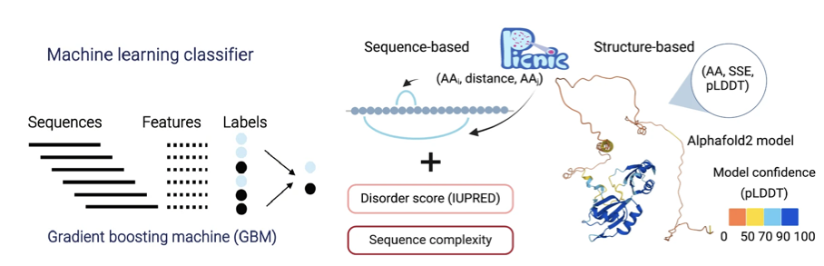 PICNIC sequence and AlphaFold structure features feeding a gradient-boosting classifier